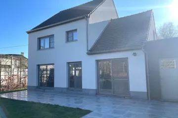 Reiniging van crepi gevel en betonnen terras met softwash