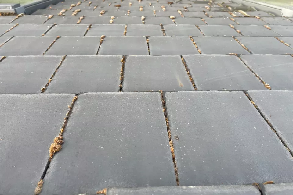 Voor